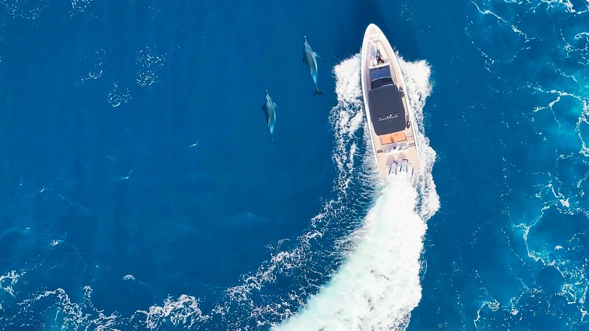 Sail the Waters
