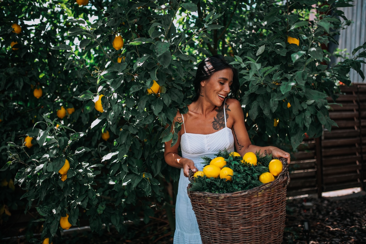 Lemon Grove Experience